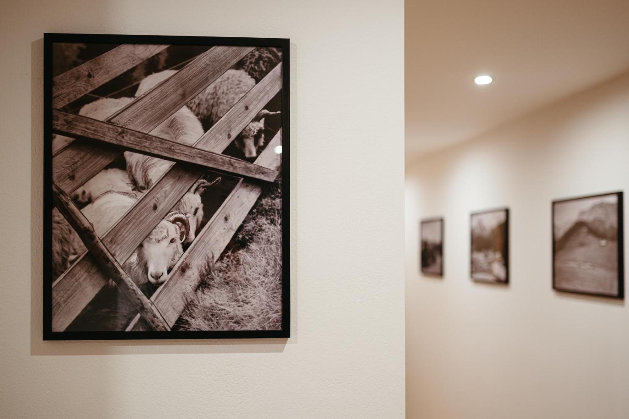 Novopolka Apartamenty Rzepiska Bilik gambar